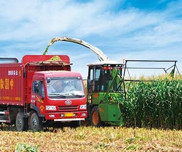 Silage Making Machine Suppliers