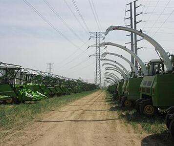 Corn Silage Manufacturers China