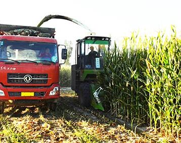 Green Corn Harvester for Sale