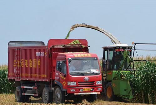 Silage Making Machine Manufacturing