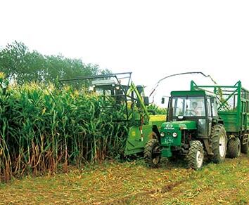 Silage Harvester Cheap