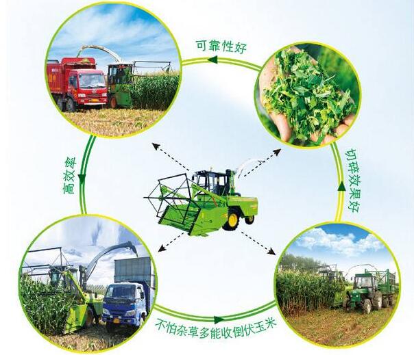 self-propelled green feed harvester