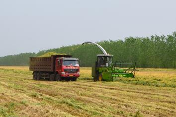 self-propelled forage harvester equipment