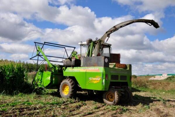 Medi Green Forage Harvester