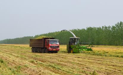 corn silage harvesting equipment