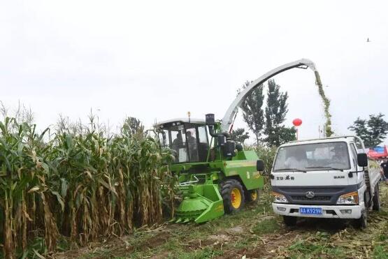 self-propelled green forage harvesters