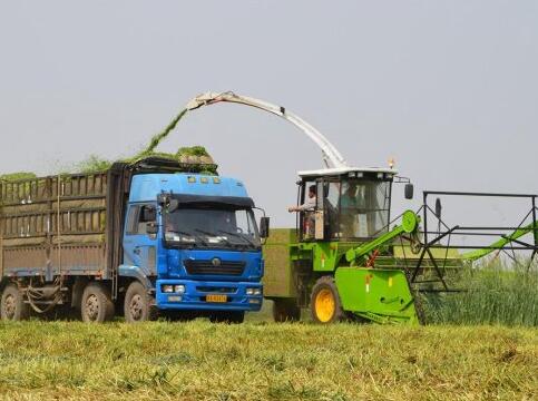 Silage Machine Meidi